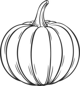 Natural Ingredients Vegetables